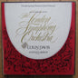 The International Festival Of Great Orchestras - Colin Davies LSO Vinyl Box Set